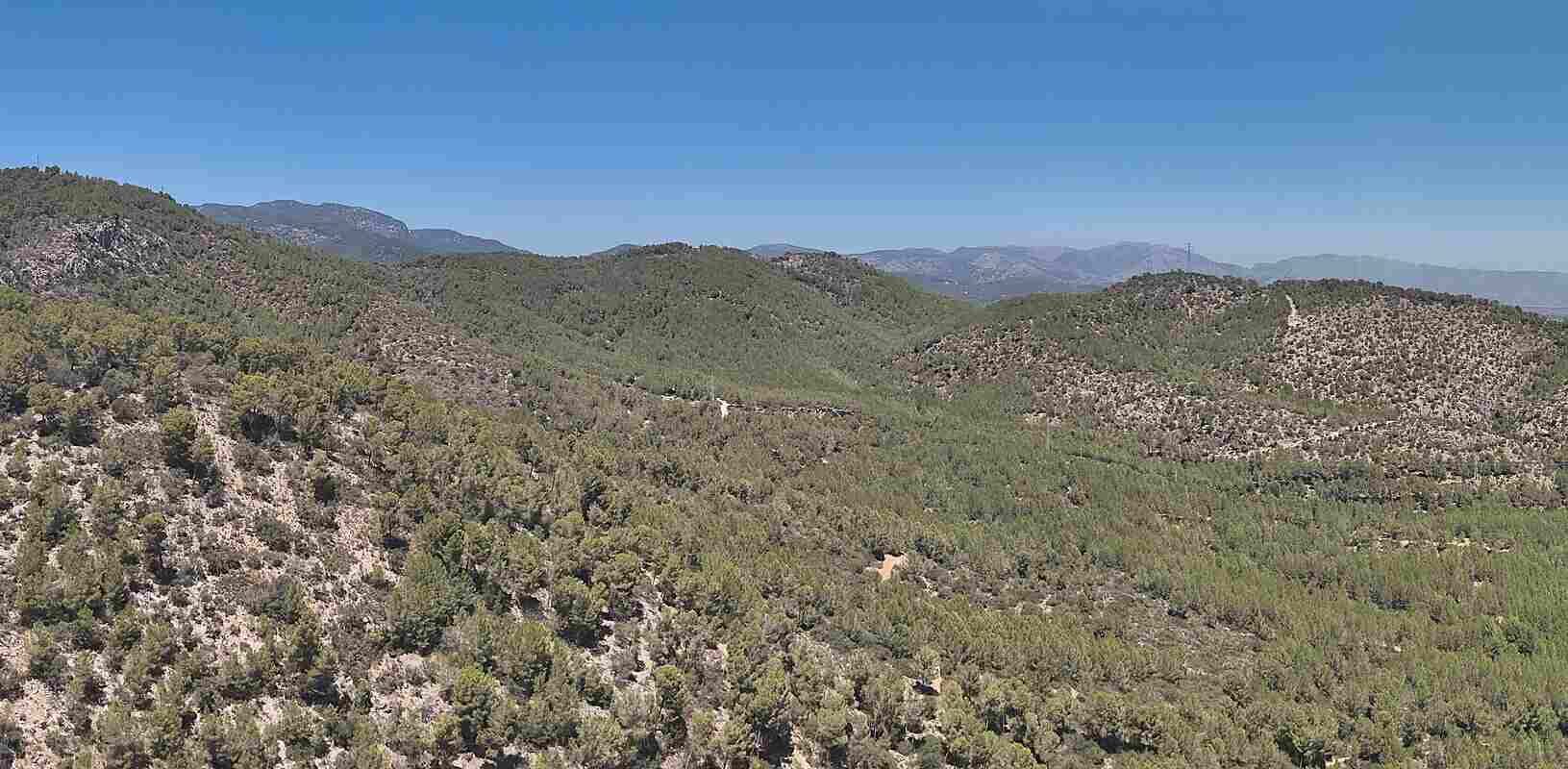 Bosc Metropolità de Palma