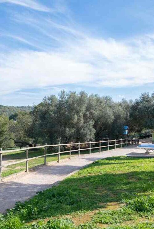 El barrio de La Bonanova en Palma