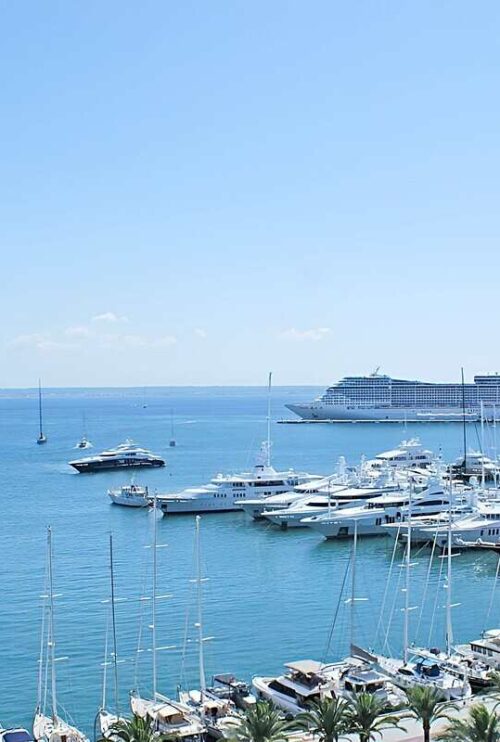 El barrio de El Terreno en Palma