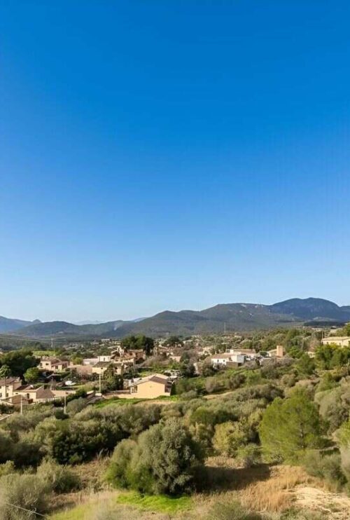 El barrio Establiments en Palma