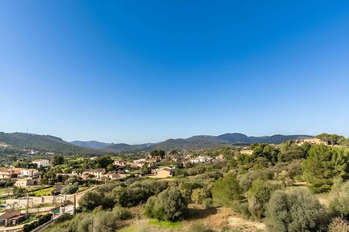 El barrio Establiments en Palma