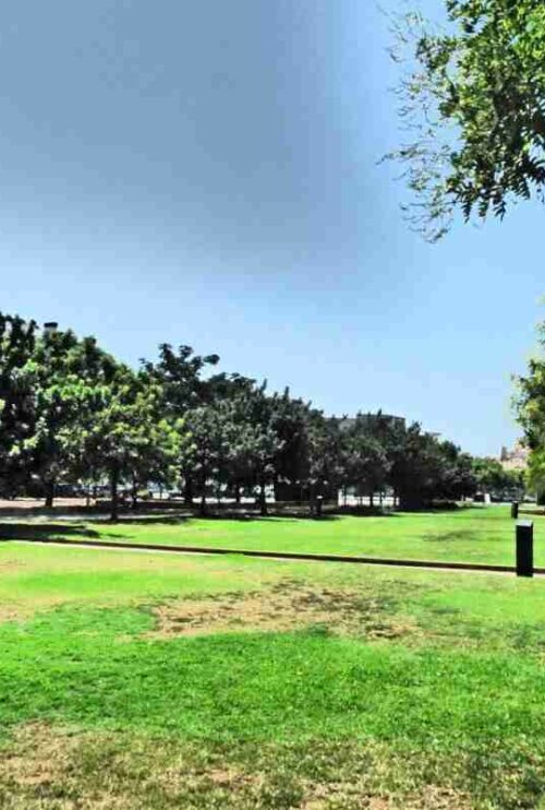 El barrio de l'Olivera en Palma