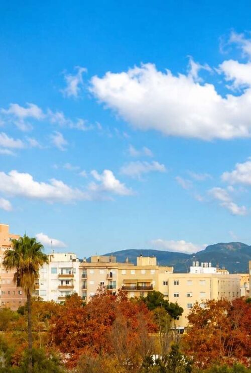 El barrio Cas Capiscol en Palma